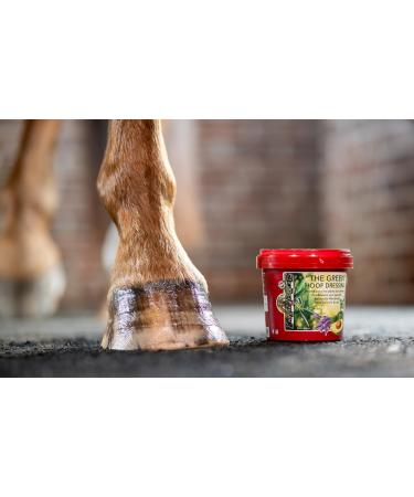  Kevin Bacon's Kevin Bacon's The Green Hoof Dressing | 500 ml | Plant-based hoof balm for horses | Suitable for cracked and brittle hooves | Nourishing and strengthening effect | Olive oil - Buy Online on GoSupps.com