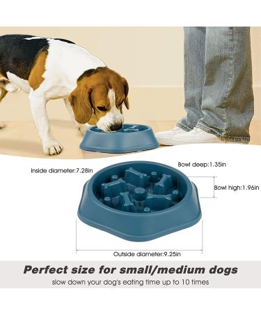 DPoegts Slow Feeder Dog Bowl - Anti-Gulping Interactive Food and Water Bowl for Small/Medium Dogs (Bone-Blue) - Buy Online on GoSupps.com