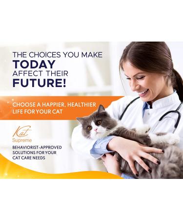 KatSupreme Tilted Elevated Stainless Steel Cat Food Bowls Set - Anti Vomiting & Orthopedic Design for Indoor Cats - Buy Online on GoSupps.com