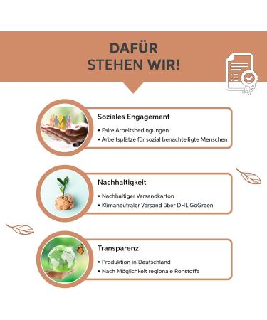  eltabia Organic Guarana Powder 500g from Brazil | Premium Natural Caffeine as Coffee Substitute | 100% Pure & No Additives - Buy Online on GoSupps.com