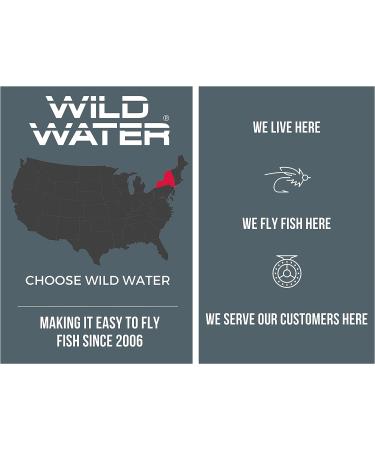 Wild Water Clouser Minnow Flies 6 Pack - Brown & White Steamer for Smallmouth Bass & Trout - Size 0/1, 2, 8 - Buy Online on GoSupps.com
