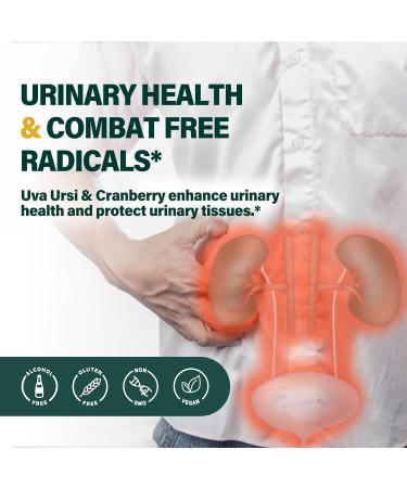 All Herbal Liquid Drops - Uva Ursi Extract for Urinary Health Diuretic & Detox - 2oz - Buy Online on GoSupps.com