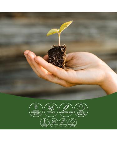 St Francis Herb Farm Fenugreek Blessed Thistle Lactation Support - Buy Online on GoSupps.com