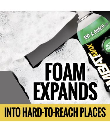 Combat Max Ant and Roach Killer Quick Kill Foam Spray 17.5oz - Fast Acting Insect Killer - Buy Online on GoSupps.com