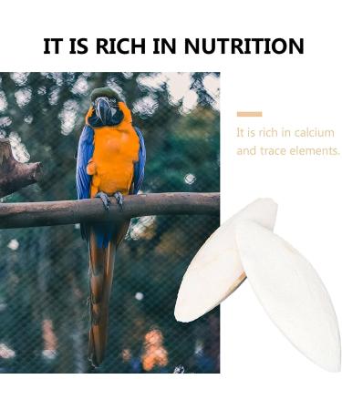 20 Pieces Tall Sepia Shells - Natural Sepia Bowls for Turtles Birds & Reptiles | Cuddly Bones & Feed Toys - Buy Online on GoSupps.com