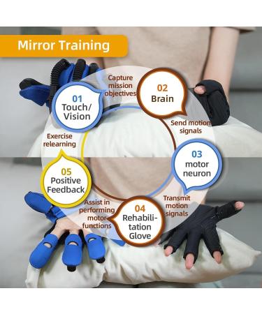 Rehabilitation Robot Gloves Finger Orthosis Stroke Hemiplegia Rehabilitation Training Equipment Finger Rehabilitation Gloves for Hand Function Recovery(Size:M Color:blue Left Hand) Medium blue Left Hand - Buy Online on GoSupps.com