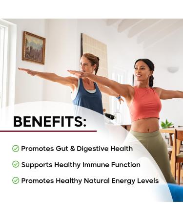 BioSchwartz Daily Fruits and Veggies Supplement for Women and Men (2 Month Supply) Plus Elderberry with Zinc and Vitamin C for Adults Immune Support (2 Month Supply) - Buy Online on GoSupps.com