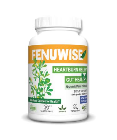 FenFiber Natural Fenugreek Fiber Capsule Supplement for Acid Relief - Premium Vegan Dietary Supplement Supporting Digestive Health 120 Count