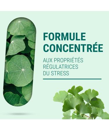 Naturathera Herba Stress - No Addiction - Anxiety Fatigue & Sleep Supplement - Dry Extract - 150 Capsules - Made in France - Vegan - No GMO Allergen Additives - Buy Online on GoSupps.com