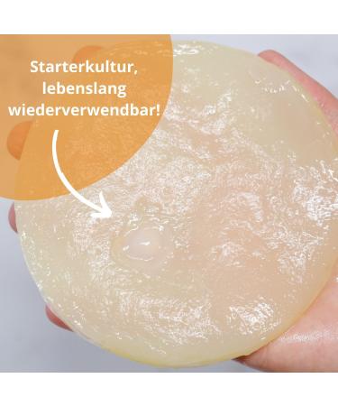 KombuChic: Kombucha SCOBY Starter Set | Tea Fungus Recipes & Free eBook for Perfect Brew - Buy Online on GoSupps.com