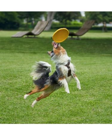 Vivifying Frisbee Dog - 2 Pack 18 cm Natural Rubber Dog Frisbees for Land & Water (Green + Yellow) - Perfect for Active Play | International Shipping Available - Buy Online on GoSupps.com