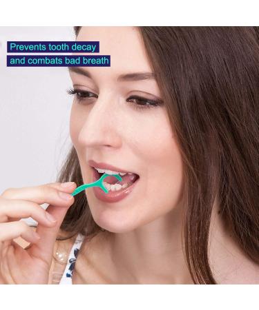 Kwokwei 300-Piece Toothpicks Set with Plastic Handle Essential Dental Flicks for Families & Hotels Travel-Friendly Tooth Picks - Buy Online on GoSupps.com