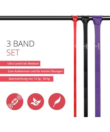 Fitness Band Pull Up Resistance Band Set | Tapping Aid & Training Guide for Home Gym | Sportband Pullup Dip Bar & Calisthenics Equipment - Buy Online on GoSupps.com