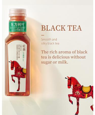 ORIENTAL LEAF Unsweetened Iced Tea Bottled Black Tea 500 ml Bottles 15 Pack Bottled Iced Tea Drinks Sugar Free 0 Calories unsweet black - Buy Online on GoSupps.com