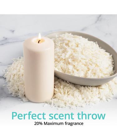 Hearts & Crafts 10 lbs Natural Soy Candle Wax & Making Supplies | 100 Pre-Waxed Wicks & Centering Devices | Soy Wax Flakes - Buy Online on GoSupps.com