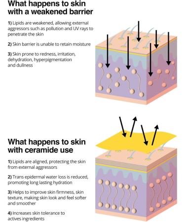 Nip+Fab Ceramide Fix Serum 12% 50 ml Replenishing Ceramide-Enriched Complex Skin Barrier Strengthener Rebalance and Soften the Skin with Niacinamide Azelaic Acid and Biolin - Buy Online on GoSupps.com
