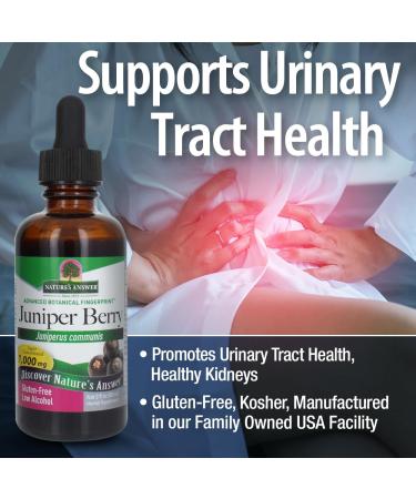 Nature's Answer Juniper Berry Supplement - Organic Alcohol Urinary Tract Support & Healthy Kidneys | 2 oz International Shipping - Buy Online on GoSupps.com
