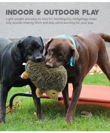 Outward Hound Hedgehogz Plush Dog Toy - Medium Size - Buy Online on GoSupps.com