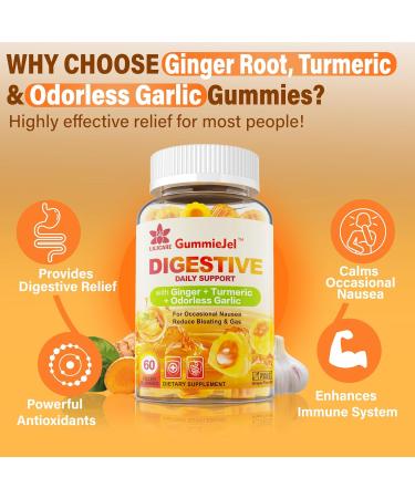 LILICARE Ginger Chews Supplement Gummies for Nausea Stomach Relief & 5HTP Gummies for Adults & Kids 8+ with GABA + Magnesium Glycinate - Buy Online on GoSupps.com