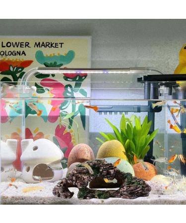 Buy Ctpeng Aquarium Cave Decoration for Betta & Cichlids - Slate Scape Ornament (23cm x 10.5cm x 7.2cm) | International Shipping Available - Buy Online on GoSupps.com