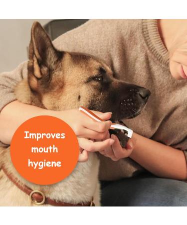 Dog Toothbrush & Toothpaste Set - Tartar Control & Dental Care for Dogs | Beef Flavor | Protect Your Dog's Teeth - Buy Online on GoSupps.com