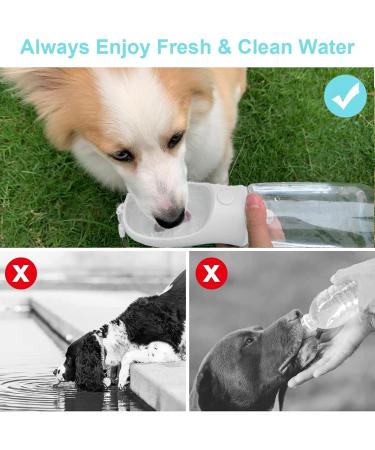 Myowell Portable Dog Drinking Bottle - 550ml Leak-Proof Water Bottle & 100g Food Cup for Large & Small Dogs - Ideal for On-The-Go Adventures - Buy Online on GoSupps.com