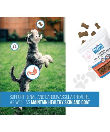 Revive Active Joint Care Soft Chews for Dogs and Cats 90Ct Relieves Inflammation Promotes Optimal Growth and Development Joint Mobility and Good Health. Chews 90ct - Buy Online on GoSupps.com