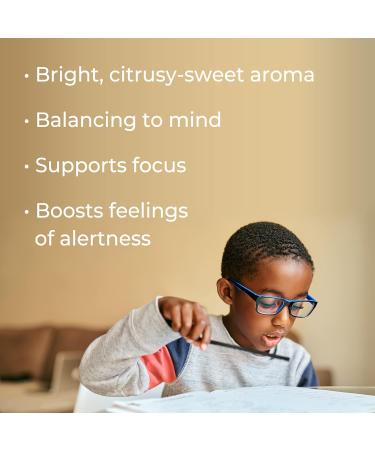 Plant Therapy Hocus Focus KidSafe Essential Oil Blend 10 mL - Pure Undiluted Therapeutic Grade for Kids' Focus - Buy Online on GoSupps.com
