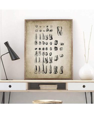 Buy Vintage Human Teeth Medical Poster - Dental Clinic Wall Art Decor | Educational Canvas Print 15.7x23.6 (40x60cm) - International Shipping Available - Buy Online on GoSupps.com