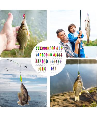 Shop Premium Trout Bait Set - 46 Pieces Fishing Lures with Storage Box for Perch Pikeperch & Pike - International Shipping Available! - Buy Online on GoSupps.com