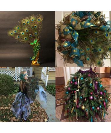 12 PCS Real Natural Peacock Eye Feathers 10-12 inch - DIY Craft & Wedding Decor - Buy Online on GoSupps.com