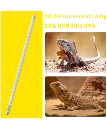 DERNORD T5 UVB Fluorescent Tube - 10.0 24W UV Tube Light Bulb 24 Inch Reptile Heat Lamp Tube Light for Tortoise Bearded Dragons Vivarium Lighting 24W 10.0 - Buy Online on GoSupps.com