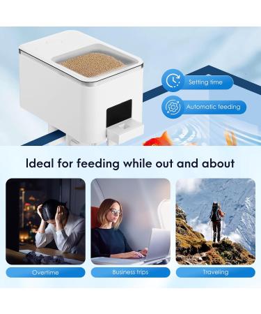 Automatic Fish Feeder WiFi Intelligent Timing Auto Food Dispenser USB Rechargeable 100ML Fish Feeder Dispenser for Aquarium Moisture-Proof Design Mobilephone APP Control - Buy Online on GoSupps.com