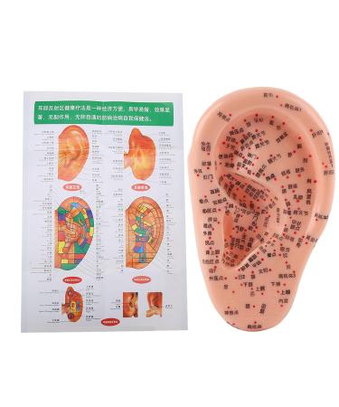 Buy Anggrek Ear Acupuncture Model - Effective Ear Massage & Acupuncture Points Kit for Home Use - International Shipping Available - Buy Online on GoSupps.com