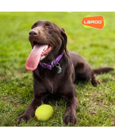 Laroo Dog Toys - Durable Natural Rubber Squeaker Dog Balls for Small & Large Dogs | 6.5cm x 8cm Green Football - Buy Online on GoSupps.com