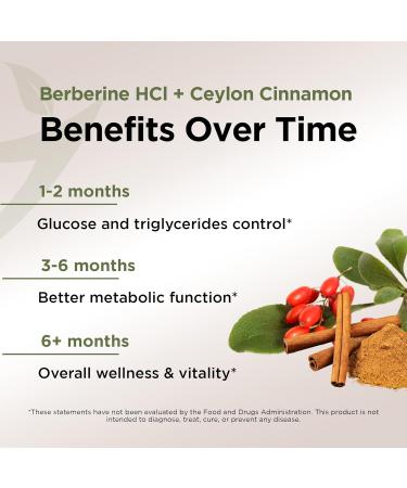 Gade Nutrition Berberine Supplement with Ceylon Cinnamon | Berberine Top Choice with Ceylon Cinnamon Capsules | Organic Veggie Capsules | USA Made - Buy Online on GoSupps.com