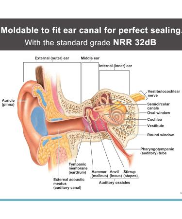 Buy Premium Ear Plugs for Sleeping Noise Cancelling Silicone Waterproof 32dB NRR | Ideal for Swimming Snoring Travel & More - Buy Online on GoSupps.com