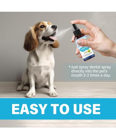 Atuio Dental Spray for Dogs & Cats | Natural Tartar Remover & Tooth Cleaner | 100ml Dental Care without Brush - Buy Online on GoSupps.com
