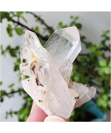 1PC Natural Clear Crystal Cluster Decoration Crystal Cluster (Size : 50-100g) - Buy Online on GoSupps.com