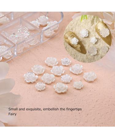 Nail Charms Nail Art Decorations 2 Boxes Nail Art Decorations Delicate Compact White Rose Camellia Nail Art Rhinestones for Girls - Buy Online on GoSupps.com