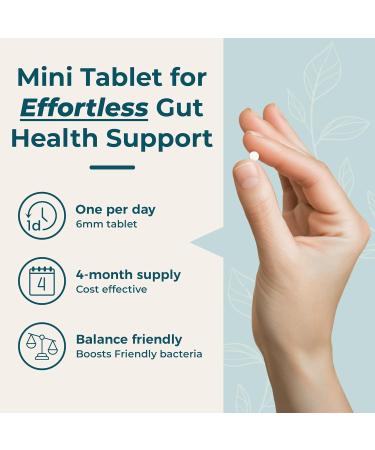 Advanced Micro Probiotics for Gut Health | Made in The UK | One-a-Day Micro Probiotics for Women & Men | Gut Health Supplements to Support IBS Bloating & Gas | 4-Month Supply - 120 Mini Tablets - Buy Online on GoSupps.com