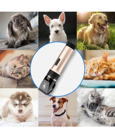 AOKEY Dog Clippers Low Noise Professional Hair Clipper Set with 4 Comb + Pro Accessories Rechargeable Shaving Tool - Buy Online on GoSupps.com