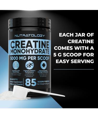 Creatine Monohydrate Powder 425g - For Increased Muscle Growth & Performance - Pre-workout Muscle Builder - Supports Athletic Performance - Creatine Powder for Workouts - 85 Servings 425.00 g (Pack of 1) - Buy Online on GoSupps.com