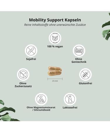 Glucosamine + Chondroitin High-Dose Vegan Mobility Support with MSM Hyaluronic Acid Zinc & Vitamin C - 120 Capsules | Raw Materials Glucosagreen & Phytroitin - Buy Online on GoSupps.com