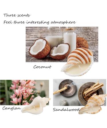 Handmade Natural Scented Candles - Conch Shell Soy Wax with Essential Oils | Perfect Gifts for Birthdays Christmas & Stress Relief - Buy Online on GoSupps.com