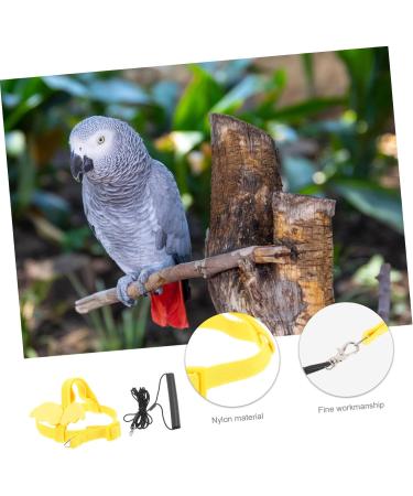 Angoily 4 Sets Bird Leash Suspend Cockatiel Harness and Leash Beard Kit Parrot Flying Leash Kit Flight Strap 12X6X1.3CMx4pcs Yellowx4pcs - Buy Online on GoSupps.com
