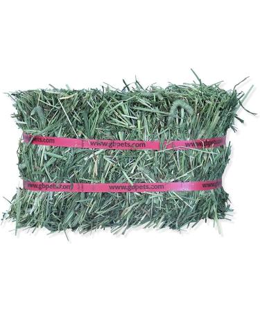 Grandpa's Best Timothy Hay Bale 10lb - Premium Quality for Small Pets - Buy Online on GoSupps.com