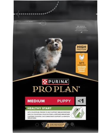 PRO PLAN Medium Puppy Dry Dog Food Healthy Start Rich in Chicken 3kg Medium Puppy 3 kg (Pack of 1) - Buy Online on GoSupps.com