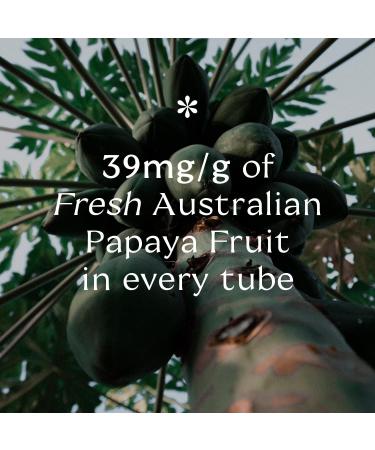 Pure Paw Paw Original All Purpose Australian Ointment with Coconut to Smooth and Soothe Suitable For Lips All Skin Types and Makeup Targets Sunburn Dry Cracked and Inflamed Skin 15g - Buy Online on GoSupps.com