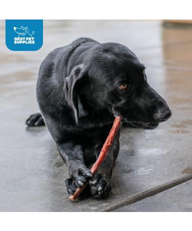 Best Pet Supplies BPS-FDA and USDA Certified Thick Plain Bully Sticks-6-Inch 25-Piece/Pack Odor Free 6 Inch 6 Inches - Buy Online on GoSupps.com